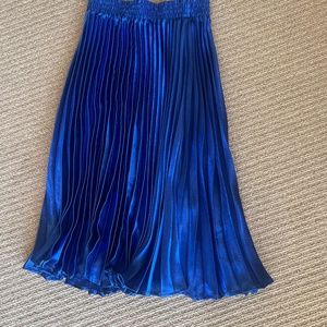 Anthropology HD in Paris - pleated blue midi skirt